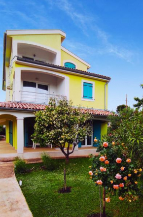 Apartman Oliva